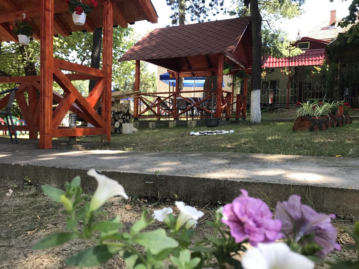 Pensiunea Basarabia 오네슈티 외부 사진