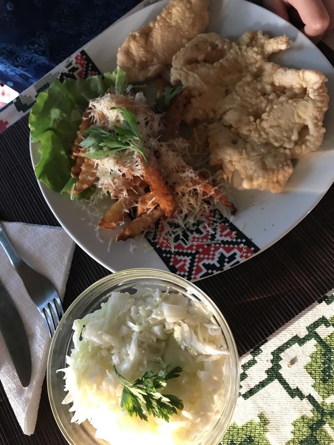 Pensiunea Basarabia 오네슈티 외부 사진