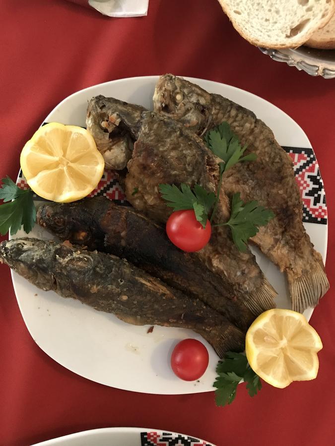 Pensiunea Basarabia 오네슈티 외부 사진