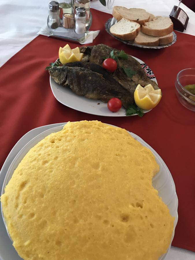 Pensiunea Basarabia 오네슈티 외부 사진